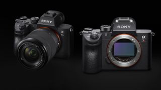 Sony A7R III vs A7 III