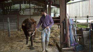 Kelvin Fletcher leads a cow with a rope in a barn in Fletchers' Family Farm