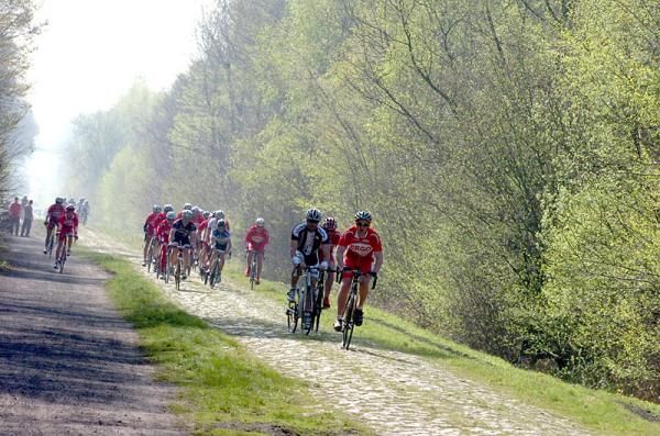 Andrea Tafi leads a group through the Arenberg Forest.