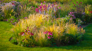 Mix of flowers and ornamental grass on lawn border