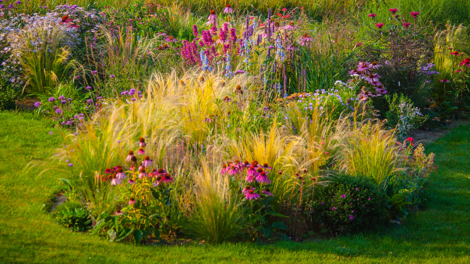 Mix of flowers and ornamental grass on lawn border