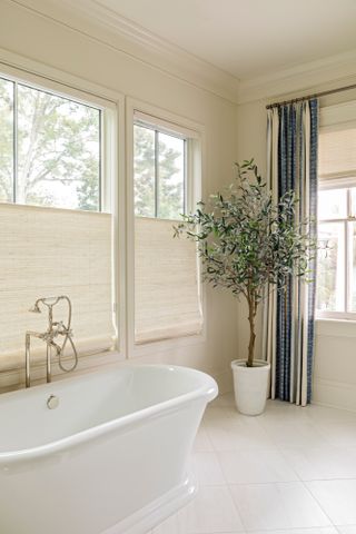 White bathroom with roll top bath and indoor tree in white pot
