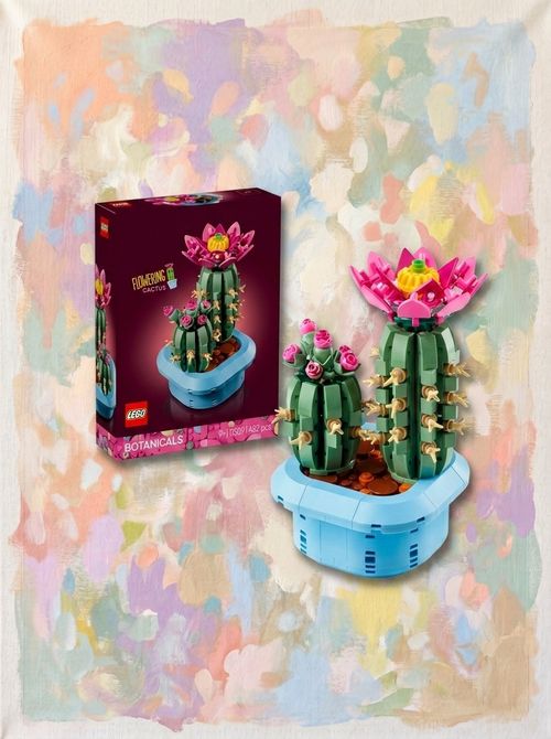 Flowering Cactus 11509