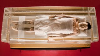 The mummy of Xin Zhui, also known as Lady Dai, is in remarkably lifelike condition.