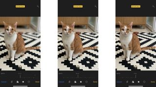 Screenshots showing Portrait Mode on an iPhone XS Max