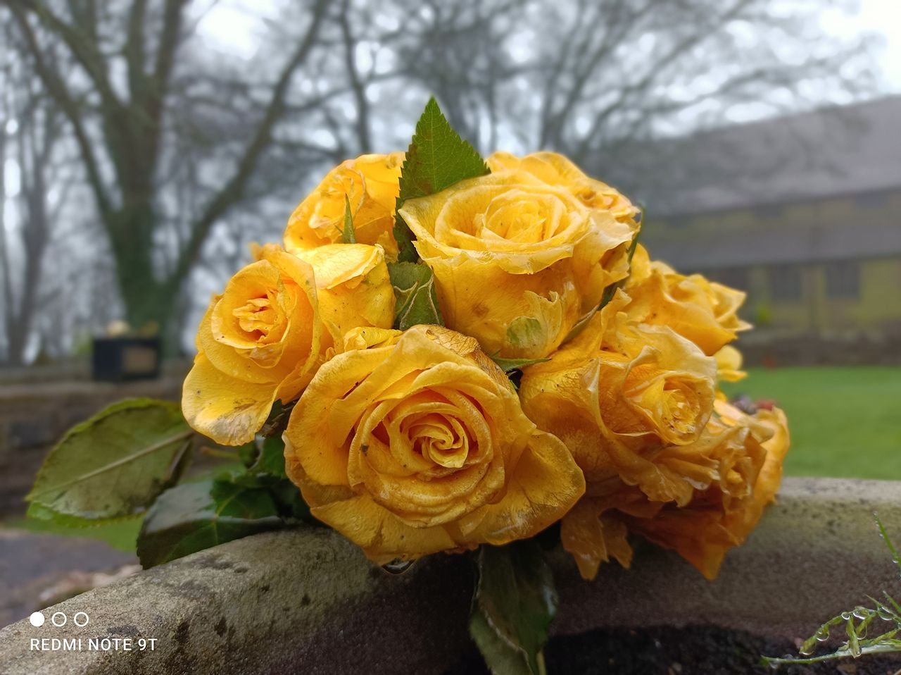Redmi Note 9T camera sample