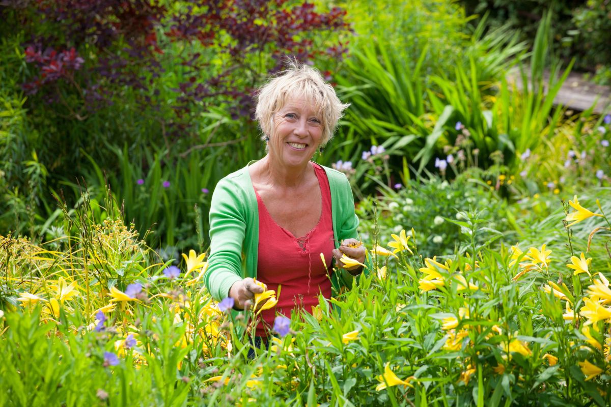 Carol Klein