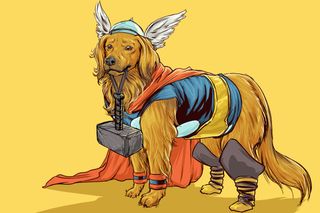 dog superheroes