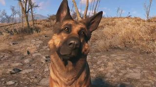 Fallout 4 dogmeat