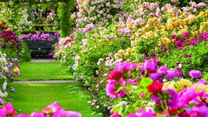 How to capture great garden scenes and flower shots | TechRadar