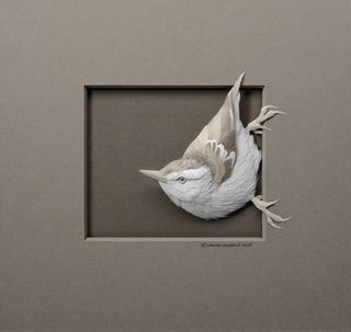 Calvin Nicholls Paper Art - bird