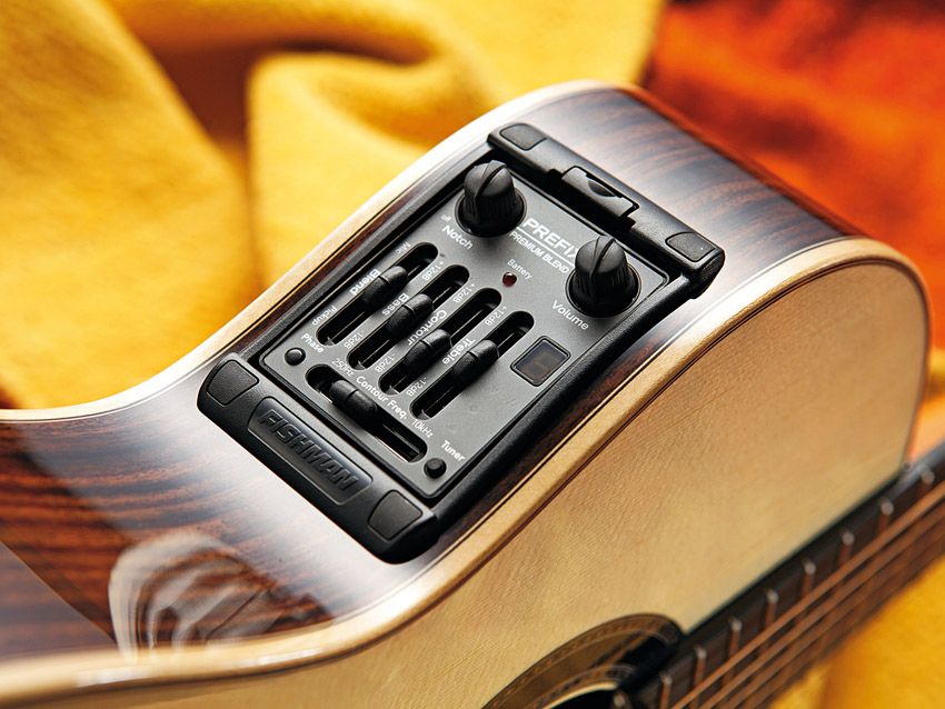 The Fishman Blend preamp is a very strong performer.