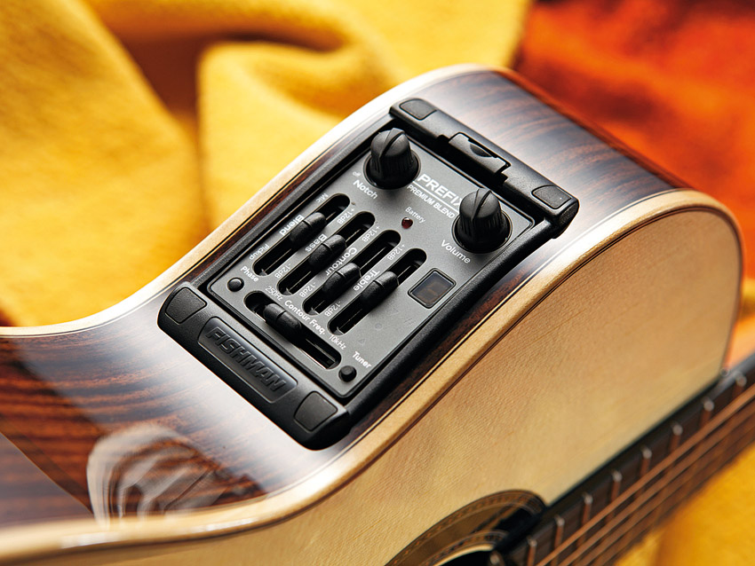 The Fishman Blend preamp is a very strong performer.
