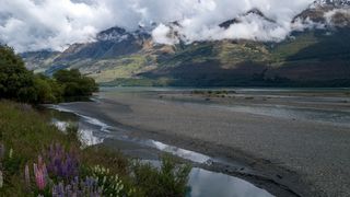 new zealand noah