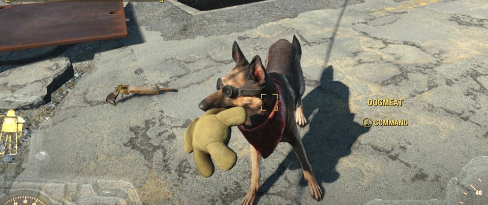 How To Make Dogmeat Wear Clothes Gamesradar