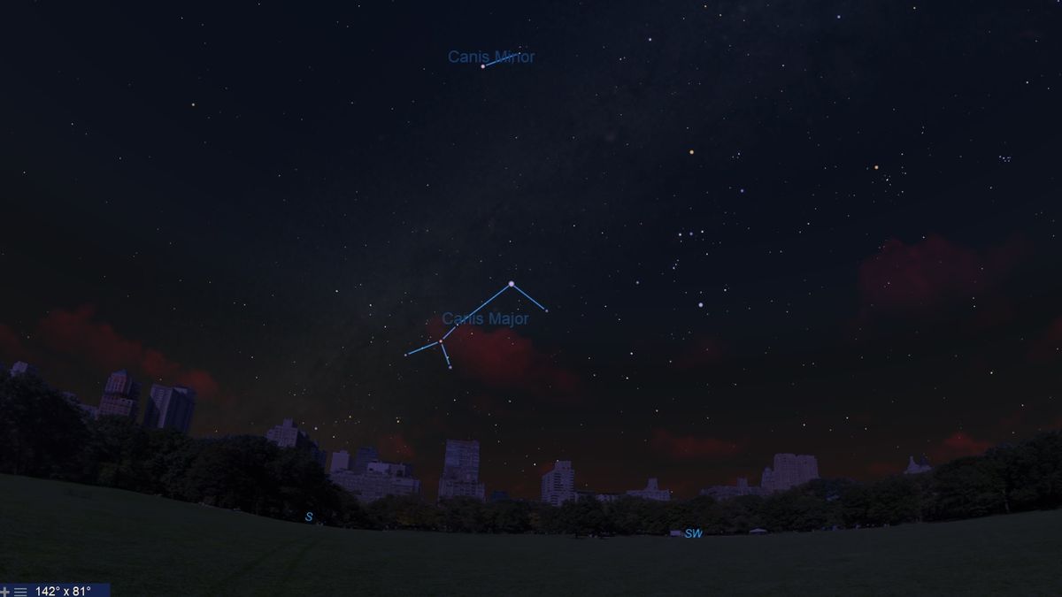 Canis Major and Canis Minor in the New York night sky on March 29, 2019 at 8:30 p.m. EDT.