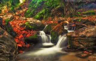 Amateur photographer Panos Lahanas captured this beautiful waterfall image late last year