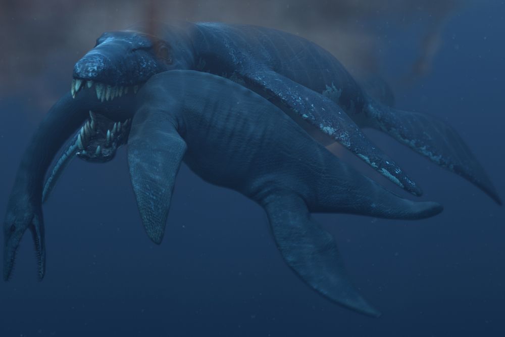 45-ton pliosaur attacking a plesiosaur, monsters of the sea, dinosaurs