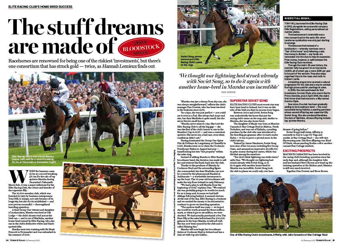 FT-3pp-Bloodstock-special-Elite.jpg