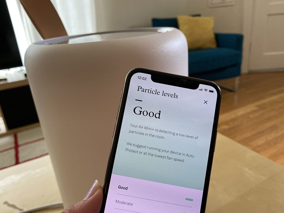 Molekule Air Mini+ review: The baby bear of air purifiers now with more ...