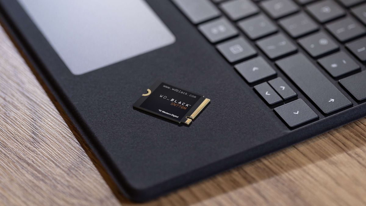 Image of the WD_BLACK SN770M SSD.