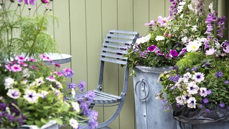 Bright white, pink, and purple flowers grow in metal containers next to a table and chair at the Chelsea Flower Show