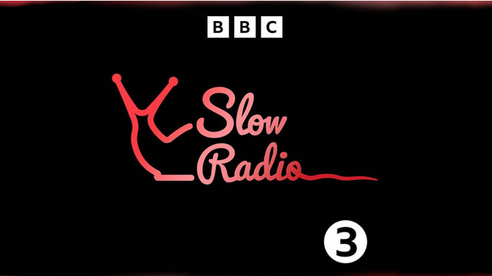 10 best podcasts to fall asleep to
