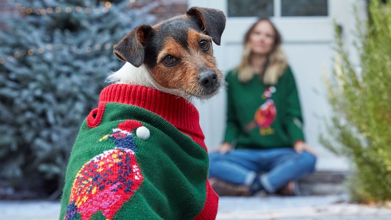 christmas jumpers with dogs on them