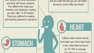 Coffee infographic