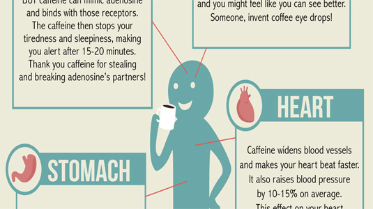 Coffee infographic