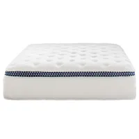 WinkBed Plus mattress