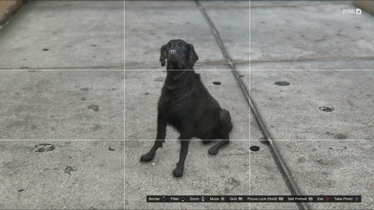 Gta best sale working dogs