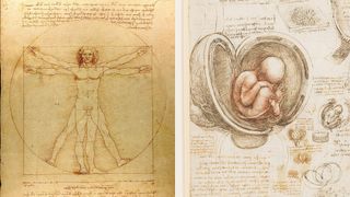 DaVinci's Vitruvian man and an anatomical sketch of a foetus.