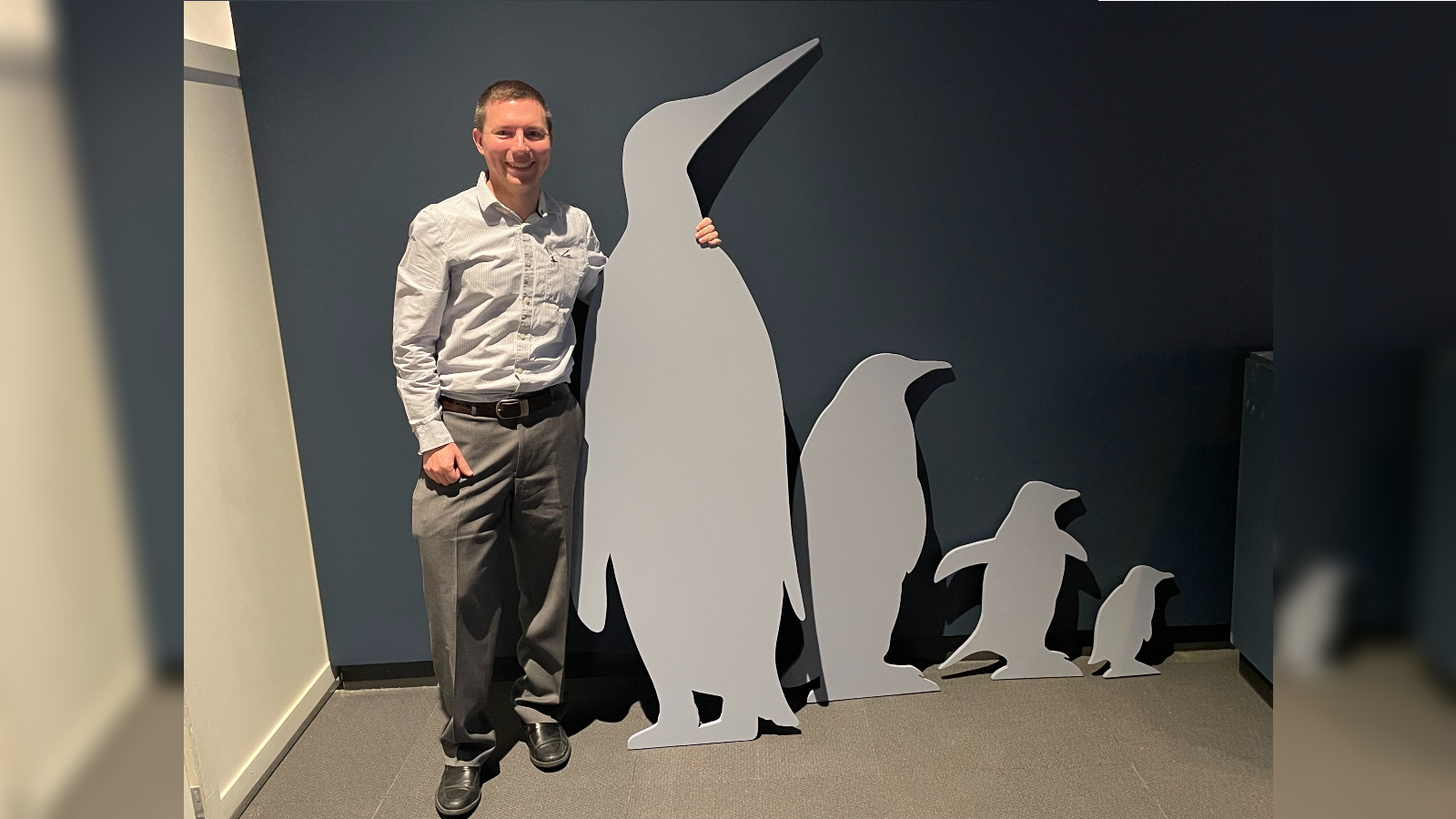 Daniel Ksepka stands next to a cutout of the penguin Kumimanu fordycei.