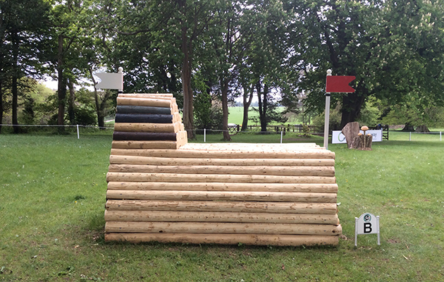Badminton Fences 2017
