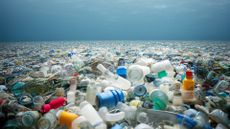 Plastic waste by the ocean