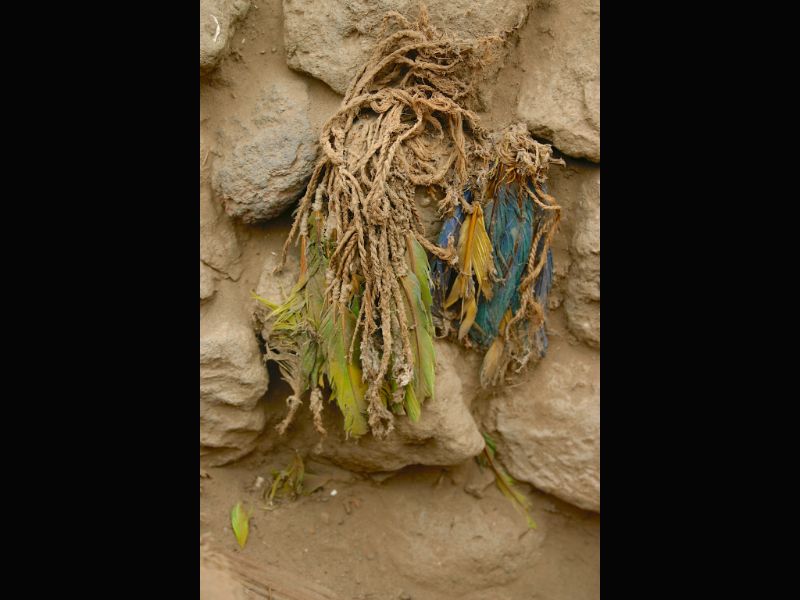 Images of the Pachacamac site near Lima Peru, with various funerary bundles and their corresponding feathers.