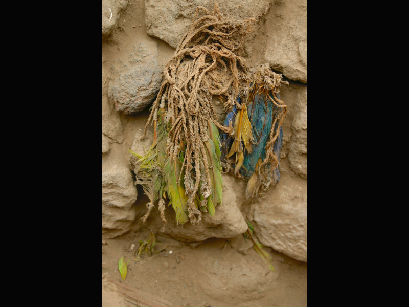 Images of the Pachacamac site near Lima Peru, with various funerary bundles and their corresponding feathers. 