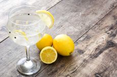 Balloon glass of gin and tonic with lemons