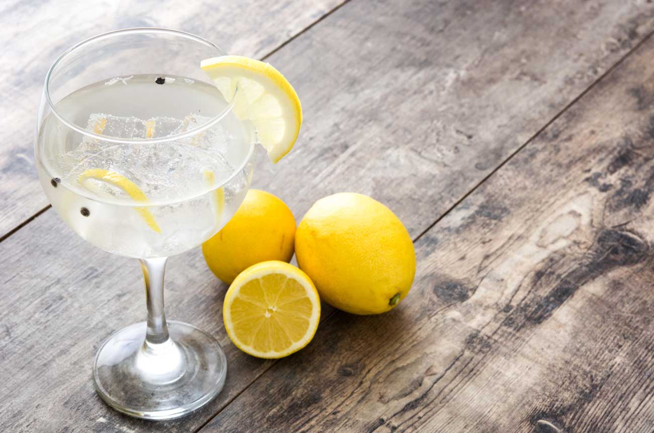 Balloon glass of gin and tonic with lemons