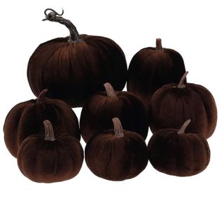 brown velvet pumpkins