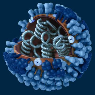 flu virus