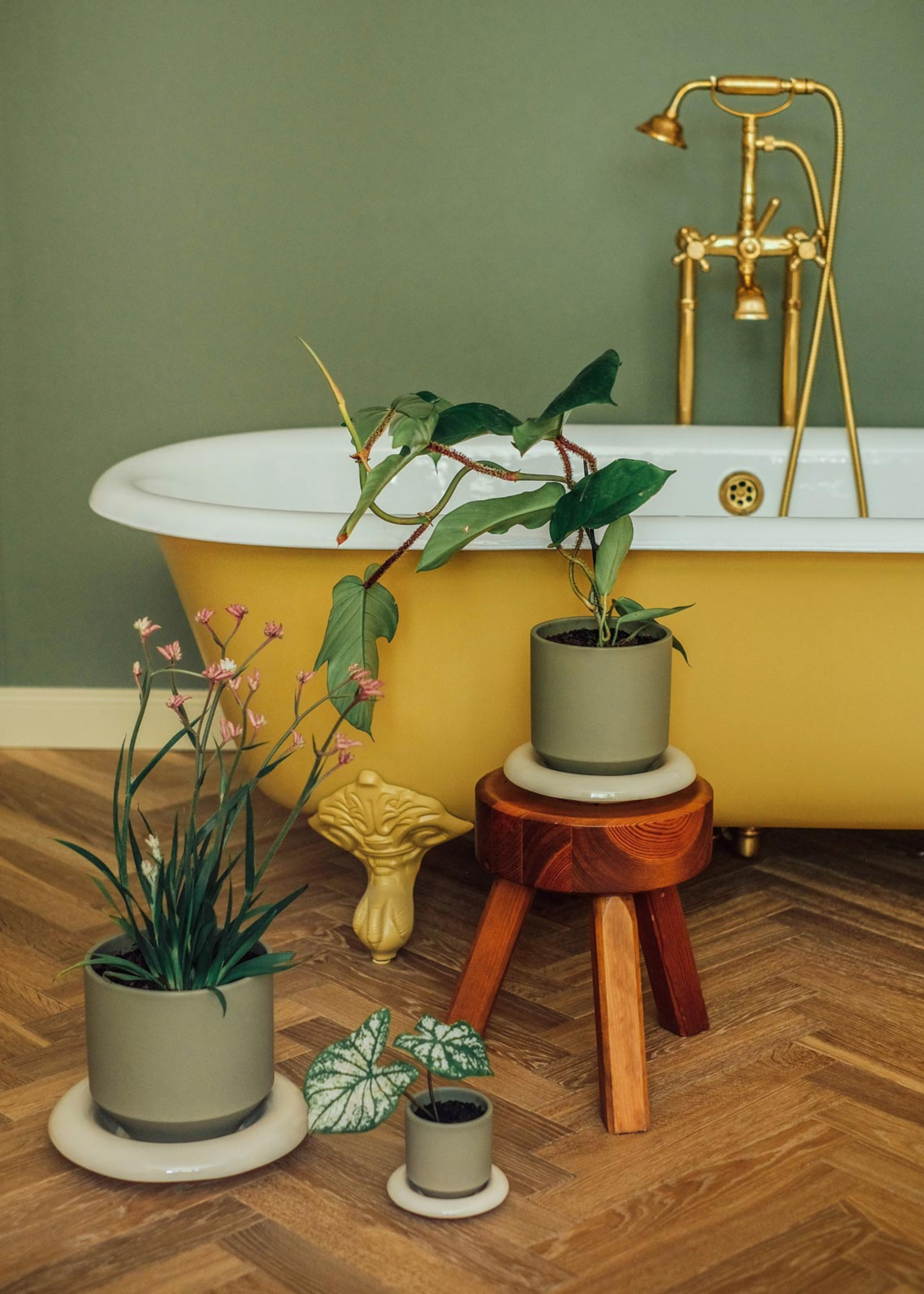 A bathroom with a yellow tub by three potted plants in green planters with gray saucers and a wood stool