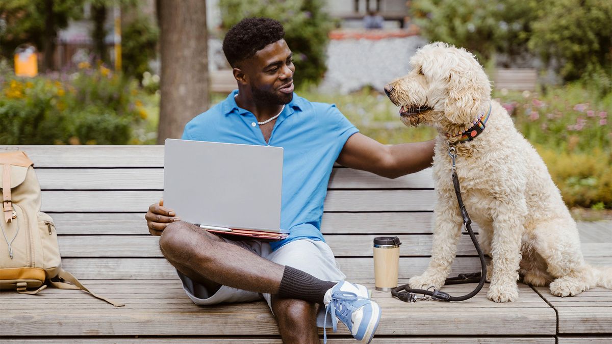 Man and dog sat on a park bench relaxing