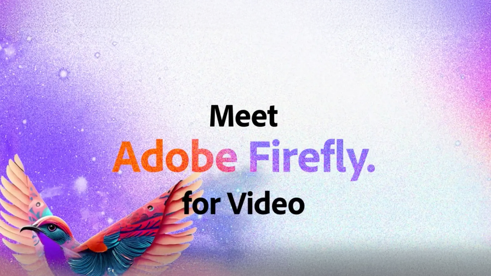  Firefly Video Editor 