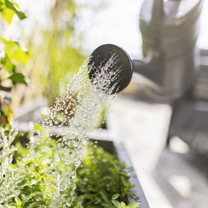 How Gardening Affects Water Supply &ndash; And How You Can Help | Gardening