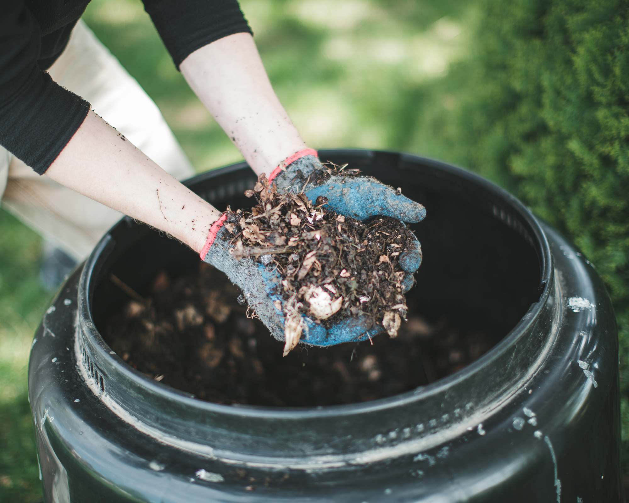 Hands holding homemade compost