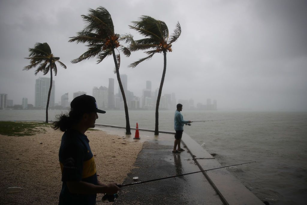 Heavy winds from Tropical Storm Gordon in Florida last month. 