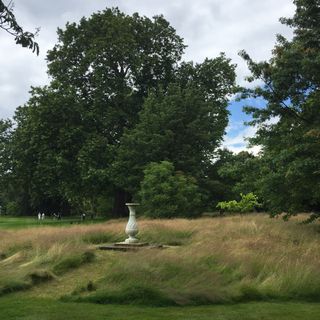 buckingham palace garden mown path with trees