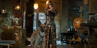 Halle Berry in John Wick Chapter 3